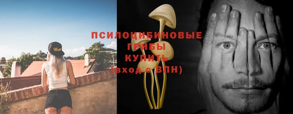 бутират Дмитриев