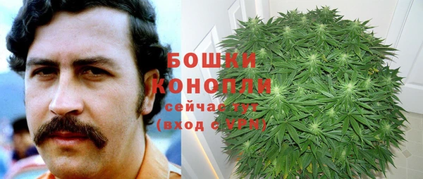 каннабис Гусиноозёрск