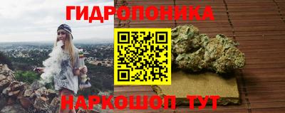 прущие крисы Донецк